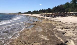 ampoti-halkidiki