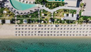 blue-carpet-suites
