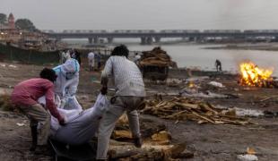 india-dead-bodies