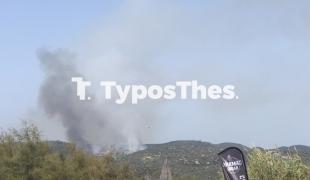 fotia-toroni