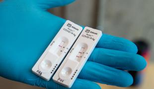 rapid-tests