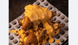 burger-trigona