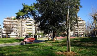 dentra-dimos-thessalonikis
