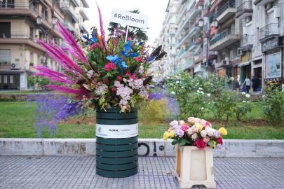 rebloom_makedonia_palace