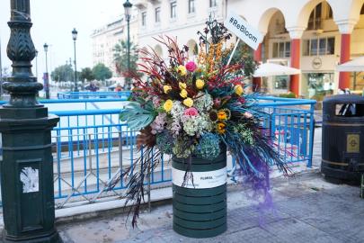 rebloom_makedonia_palace