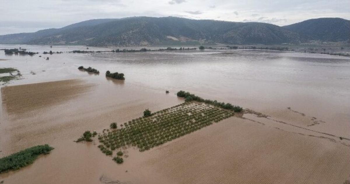 Πανευρωπαϊκή μελέτη για τα πλημμυρικά φαινόμενα: Η δόμηση σε ζώνες ...