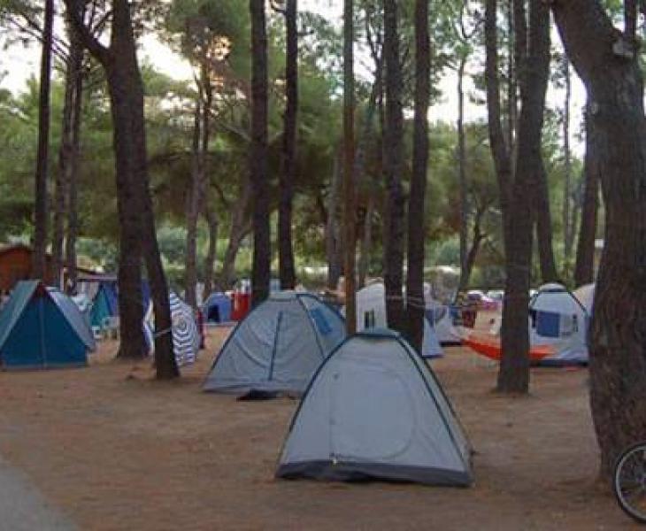 Χαλκιδική: Χιλιάδες φοιτητές αναμένει και φέτος η κατασκήνωση του ΑΠΘ στο Ποσείδι