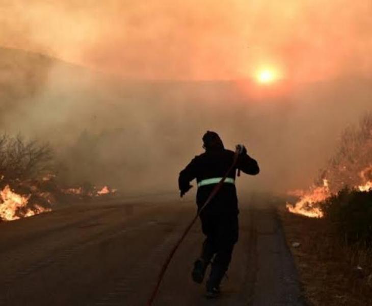 Θεσσαλονίκη: Φωτιές από... ψησταριά και πυροτεχνήματα - Δύο συλλήψεις για εμπρησμό