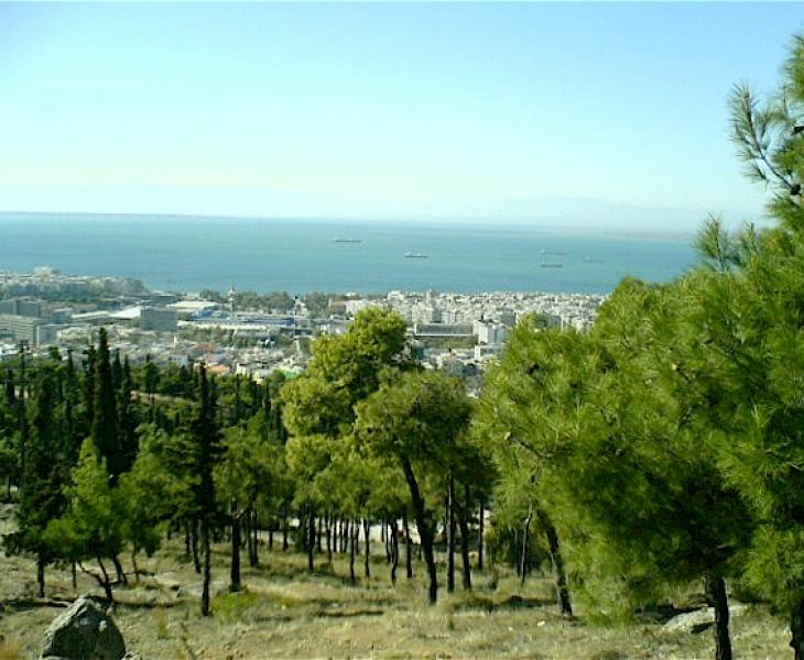 Θεσσαλονίκη: Τέλος εναέρια καλώδια 12 χλμ στο Σέιχ Σου – Μεγάλο έργο, νέο υπόγειο δίκτυο 