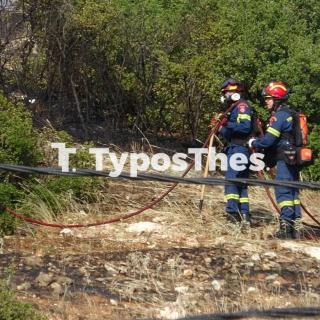 ΠΡΙΝ ΛΙΓΟ: Φωτιά σε δασική έκταση στη Θεσσαλονίκη - Σε ποιο σημείο