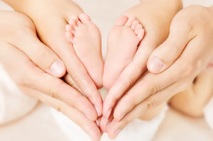 fertilia