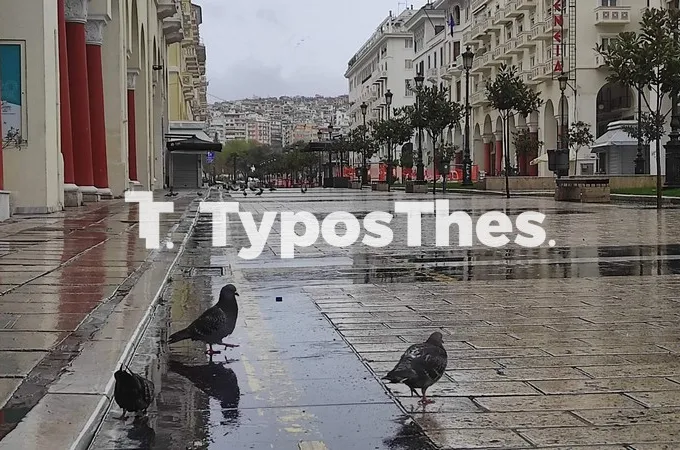 thessaloniki-broxi-aristoteloys