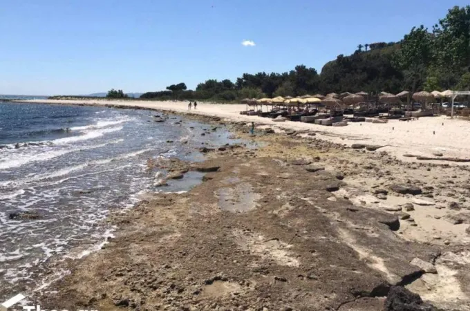 ampoti-halkidiki