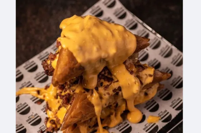 burger-trigona