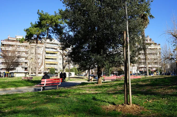 dentra-dimos-thessalonikis