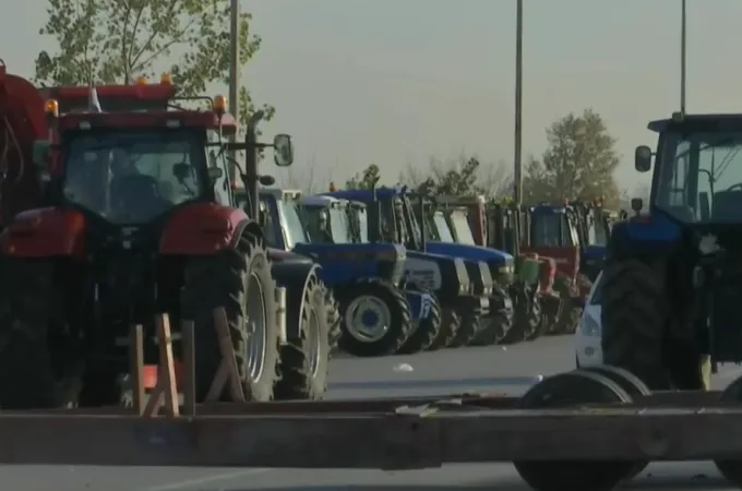 agrotes
