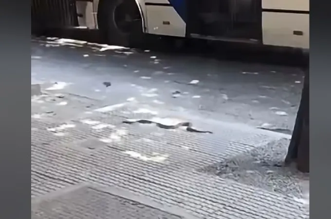 Fidi Kentro