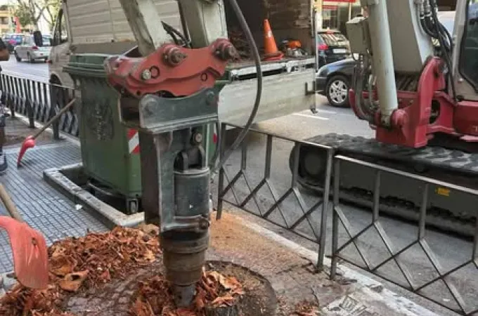 δενδροδόχοι 2