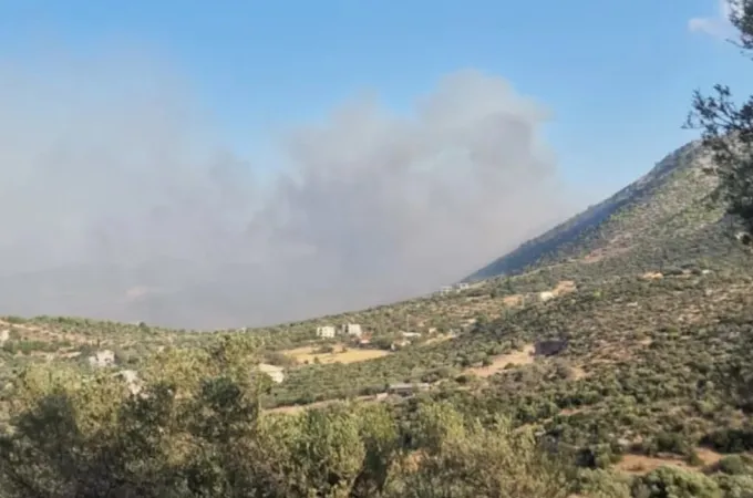fotia-koubaras