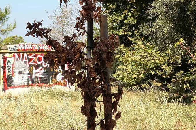 Κήπος εποχών