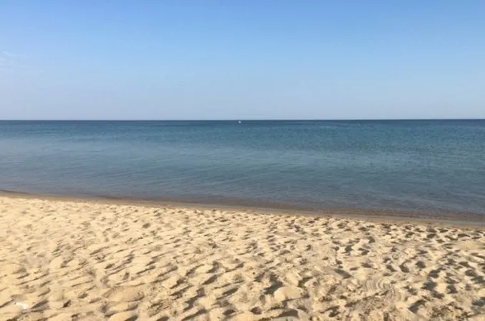 paralia