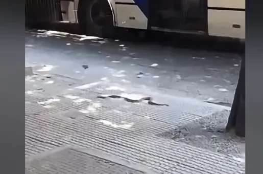 Fidi Kentro