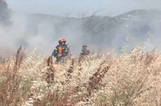 φωτιά χόρτα