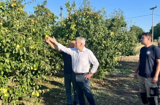 Χαρακόπουλος χαλάζι αγρότες