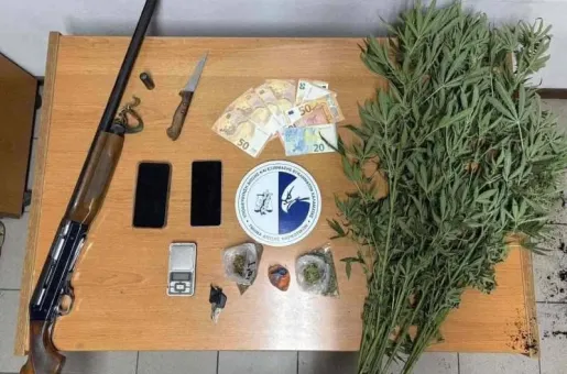 φυτεία 1
