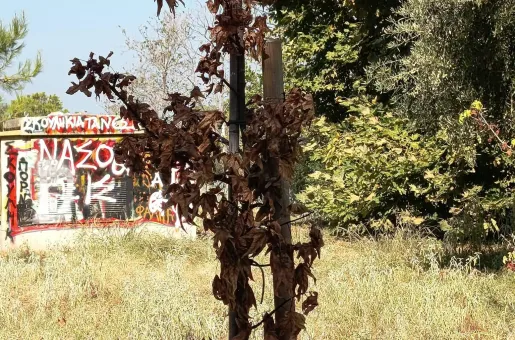 Κήπος εποχών