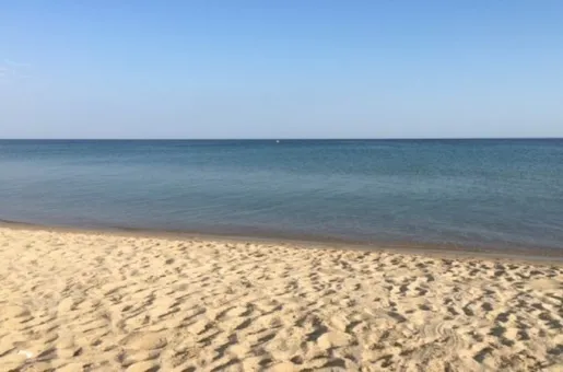 paralia