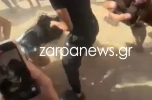 Χανιά ξυλοδαρμός