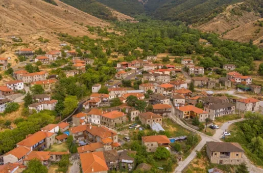 Xorio