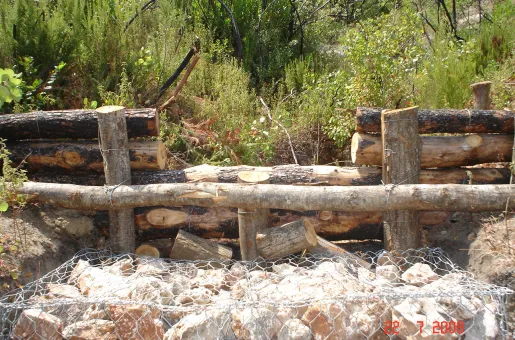 Xalkikdiki
