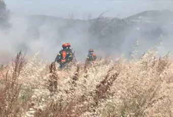 φωτιά χόρτα