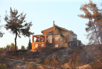 φωτιά Χαλκιδική