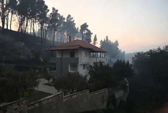 Fotia Sibiri Xalkidiki