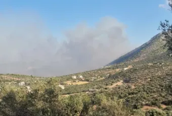 fotia-koubaras