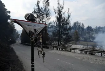 φωτιά Χαλκιδική