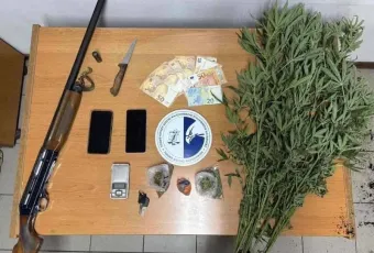 φυτεία 1