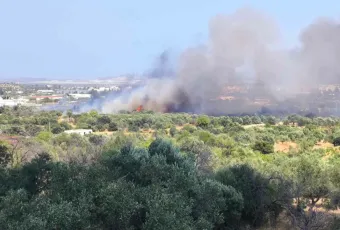 koropi fotia
