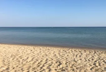 paralia