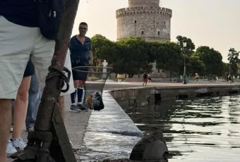 patini