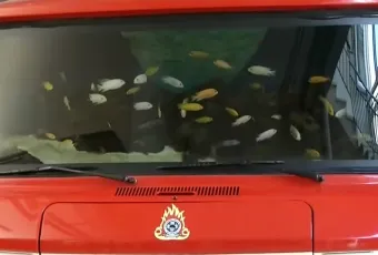 πυροσβεστικο ενυδρειο