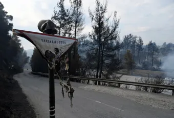 Φωτιά στη Σίβηρη Χαλκιδικής
