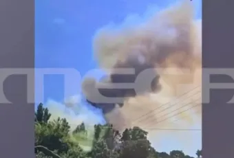 φωτιά Χαλκιδικη