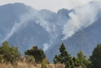 Pyrkagia Konitsa