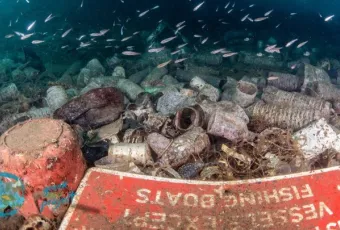 Skoupidia bythos POrto Koufo