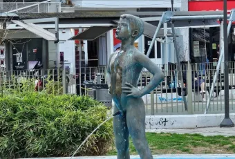 Αγόρι που σφυρίζει