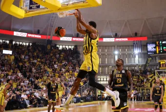 aris-basket